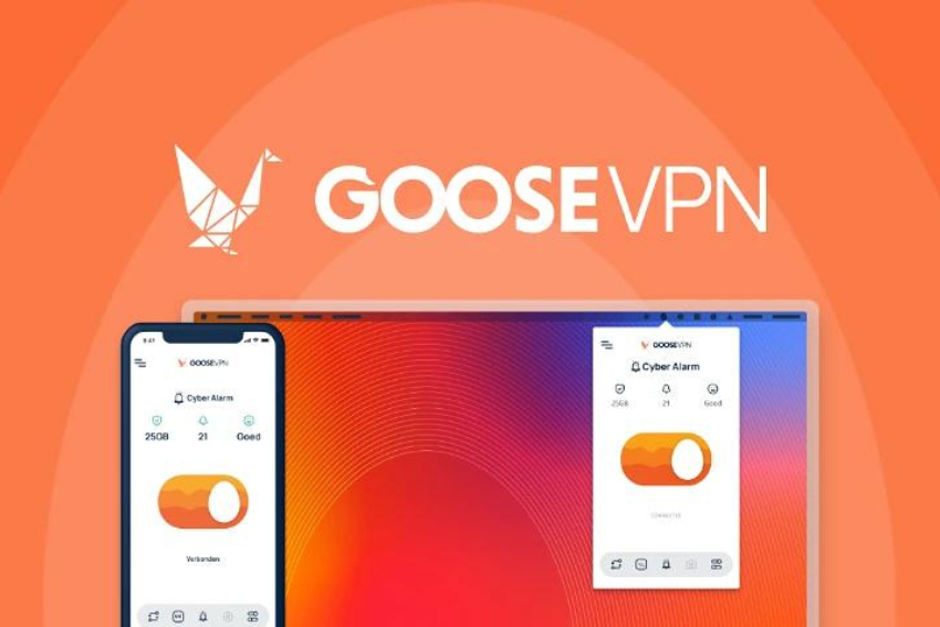 GooseVPN SaaS LTD Deals