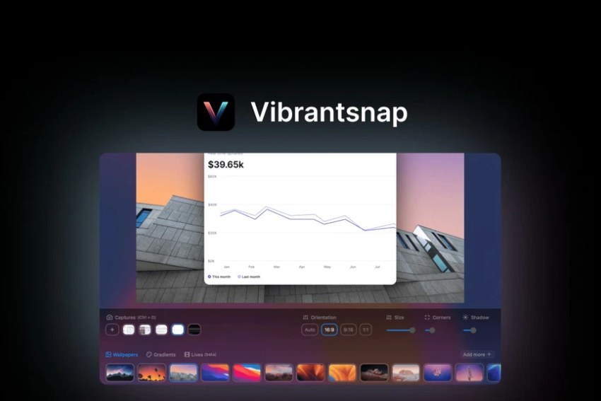 VibrantSnap Lifetime Deal