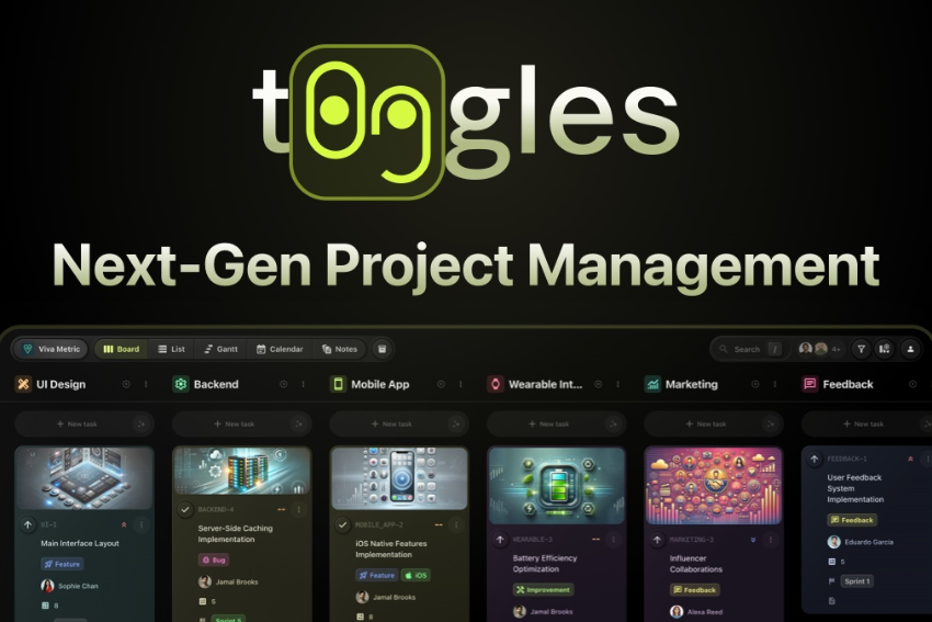 T0ggles Lifetime Deal